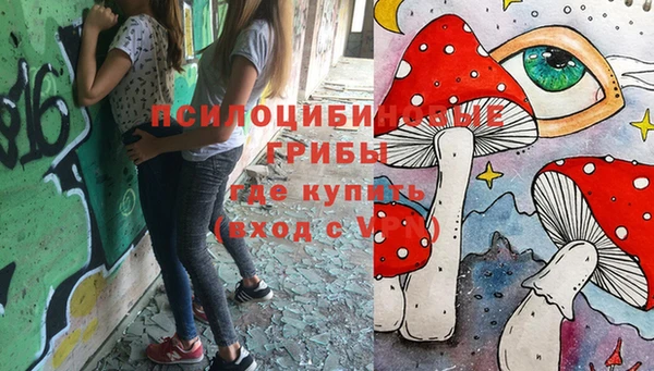 а пвп мука Ладушкин