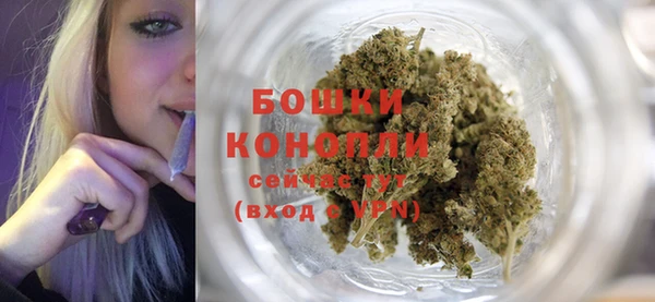 spice Новоузенск